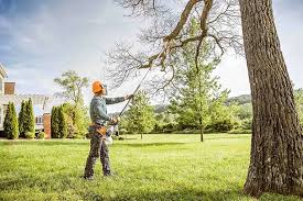 Best Arborist Consultation Services  in Robins, IA