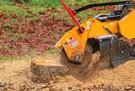 Best Aeration Services  in Robins, IA